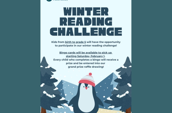 Winter Reading Bingo Challenge 