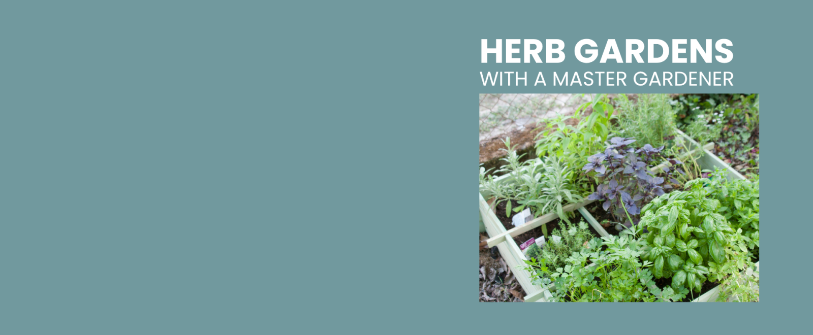 Herb Gardens class at the Roslyn Library on July 20, 7 p.m.